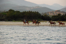 Cavalli al tramonto sulla spaiggia del Taravo a Porto Pollo